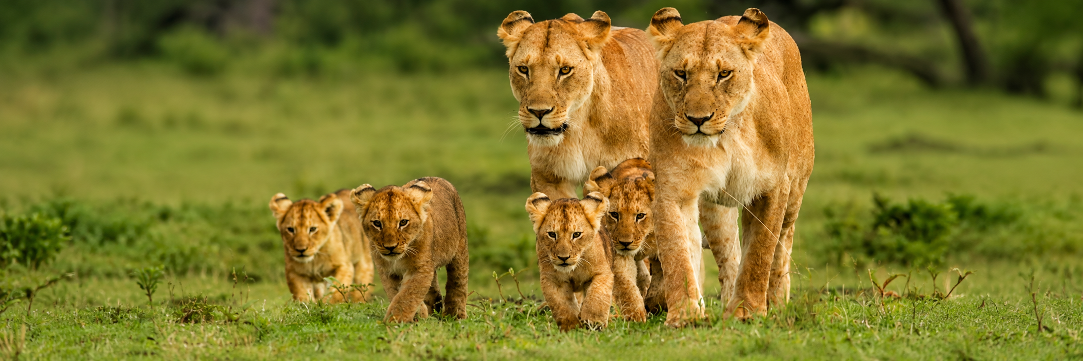 Visit Nakuru