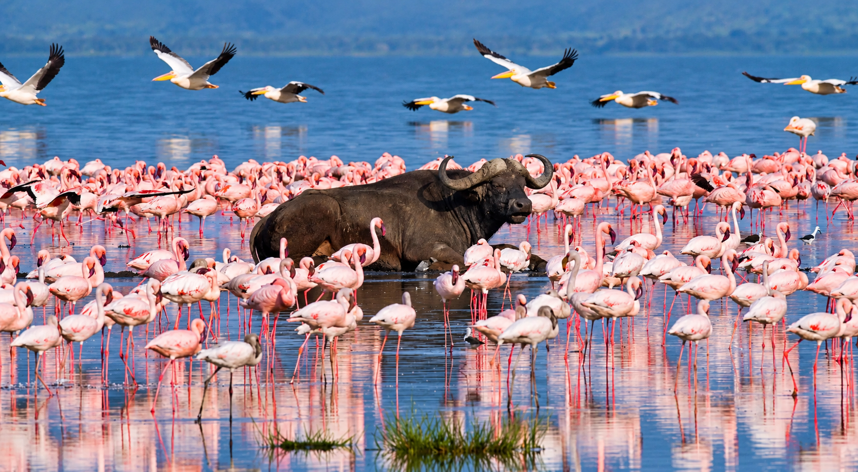 Visit Nakuru